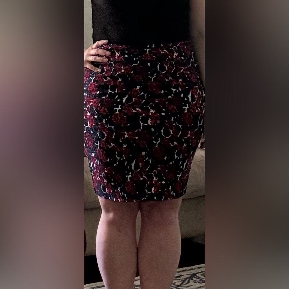 Stitch fix skirt